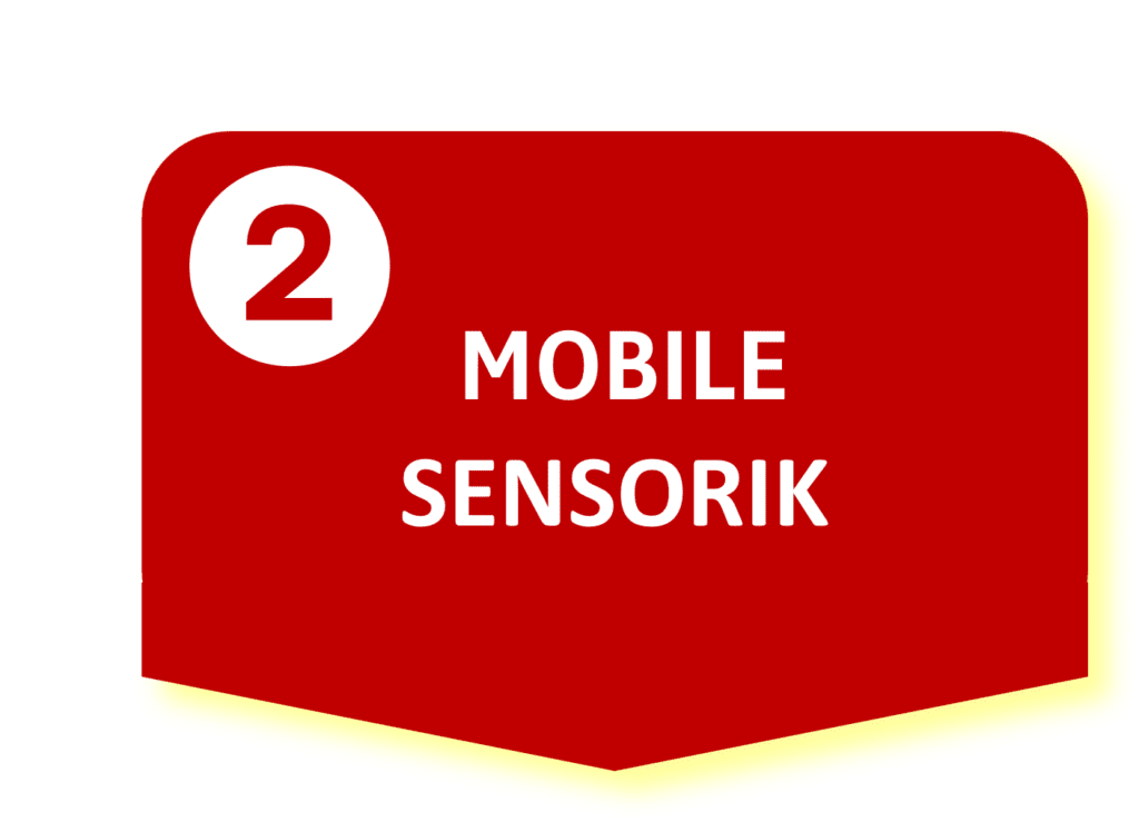 clever ways: Lösungen für die Mobile Sensorik, Logo Bild 9 clever ways: Lösungen für die Mobile Sensorik, Logo Bild 9